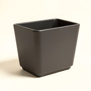 Reiner Planter Box (synthetic illustration; no displayed measurements)
