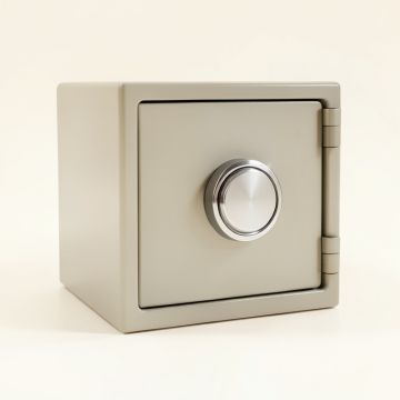 Electronic Storage Safe With Dual-Lock (synthetic illustration; no displayed measurements)