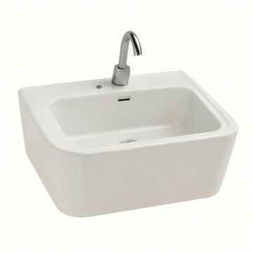 Gilford 24 '' X 22 '' X 9-1/2 '' Wall-Mount/Top-Mount Single-Bowl Kitchen Sink (synthetic illustration; no displayed measurements)