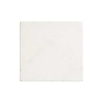 Willow Branch Uninstalled Square Decorative Tile - White