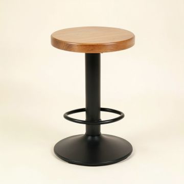 Sariyah Swivel Bar & Counter Stool (synthetic illustration; no displayed measurements)