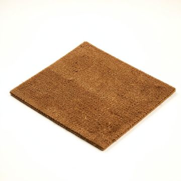 Gregg Cactus Welcome 29 In . X 17 In . Non-Slip Outdoor Door Mat (synthetic illustration; no displayed measurements)