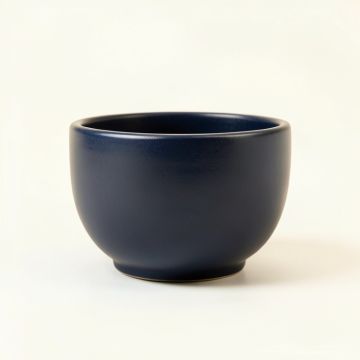 Bay Arc Empty Planter (synthetic illustration; no displayed measurements)