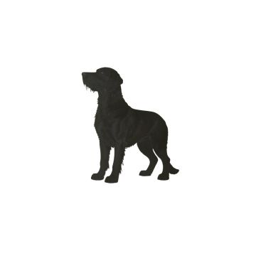Le Chien ( The Dog ) By Pablo Picasso - Picture Frame Print On Paper