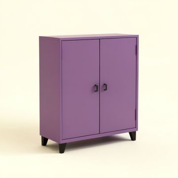 Violetta 2 Door Accent Cabinet (synthetic illustration; no displayed measurements)