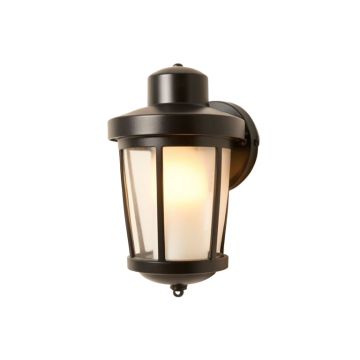 Chestertown 1-Light Outdoor Barn Light