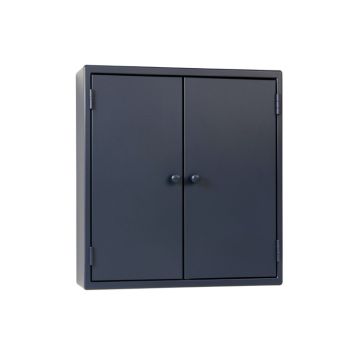 Fern Canyon Wall-Mounted Entry Cabinet - Navy