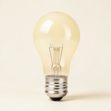 5 Watt , Incandescent Dimmable Light Bulb , Warm White ( 2200K ) E12/Candelabra Base (synthetic illustration; no displayed measurements)