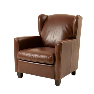 37 '' Wide Wingback Chair (synthetic illustration; no displayed measurements)