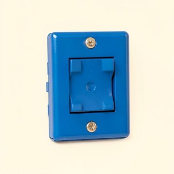 Flower Girl Mexican Art Colorful 1-Gang Duplex Outlet Wall Plate (synthetic illustration; no displayed measurements)