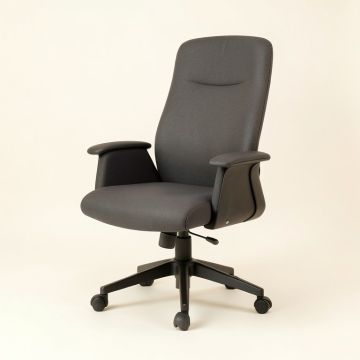 Enosburg Ergonomic Executive Chair (synthetic illustration; no displayed measurements)