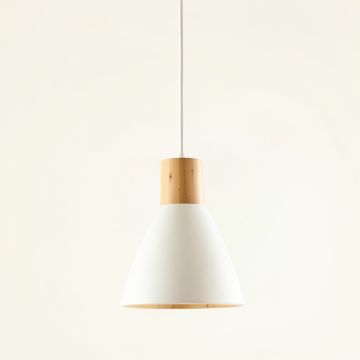 Reed Bluff Pendant Light Suspended From One Plain Cable - White (synthetic illustration; no displayed measurements)