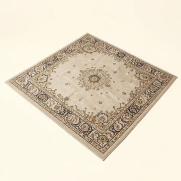 Multi Area Rug (synthetic illustration; no displayed measurements)