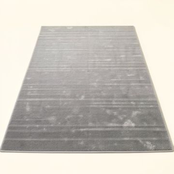 Altamont Silver Gray Area Rug (synthetic illustration; no displayed measurements)