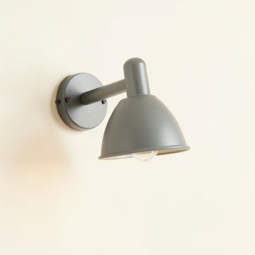 Summit Branch Wall Sconce Mounted On A Plain Wall - Gray (synthetic illustration; no displayed measurements)