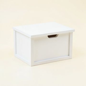 Brook Arc Low Toy Storage Unit (synthetic illustration; no displayed measurements)