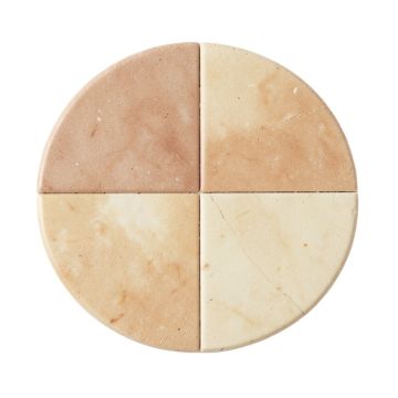 Shore Penny 0.99 '' X 0.99 '' Seashell Penny Round Mosaic Tile