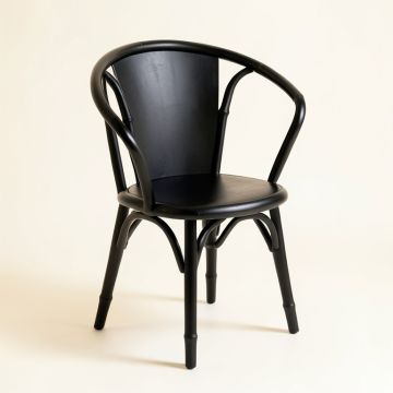 Shore Edge Dining Chair - Black (synthetic illustration; no displayed measurements)