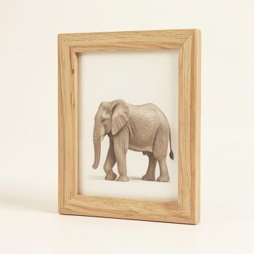Elysium Elephant Picture Frame (synthetic illustration; no displayed measurements)