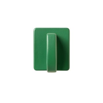 Cliff Branch Wall-Mounted Robe Hook - Green