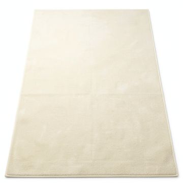 Connie Slate/Cream Area Rug (synthetic illustration; no displayed measurements)