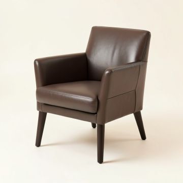 Semlalia Contemporary Dining Side Chair (synthetic illustration; no displayed measurements)