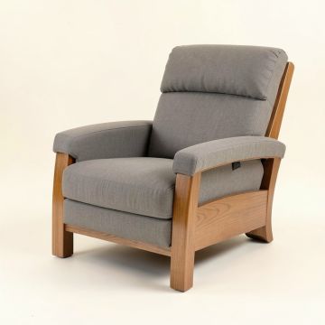 Lippa 32 '' Wide Power Lift Assist Standard Recliner (synthetic illustration; no displayed measurements)