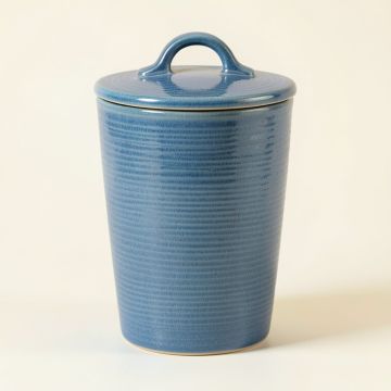 Hazel Brook Storage Canister With Lid - Blue (synthetic illustration; no displayed measurements)