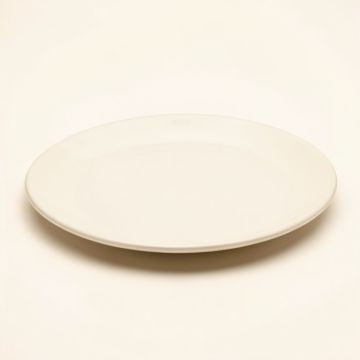 Shell Platter (synthetic illustration; no displayed measurements)