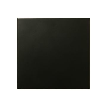 Pine Bridge Uninstalled Square Decorative Tile - Black