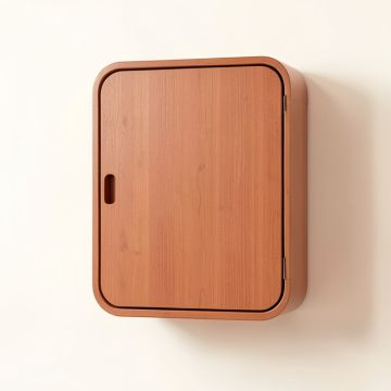 Hill Canyon Wall-Mounted Laundry Cabinet - Terracotta (synthetic illustration; no displayed measurements)