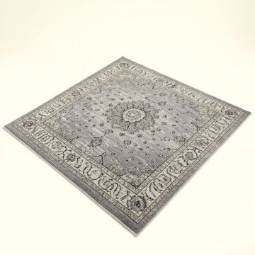 Hillsby Oriental Light Gray/Charcoal Area Rug (synthetic illustration; no displayed measurements)