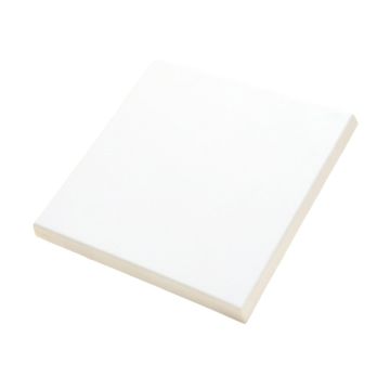 Seashell 1 '' X 1 '' Mosaic Tile In White