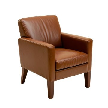 Zebra Arm Chair