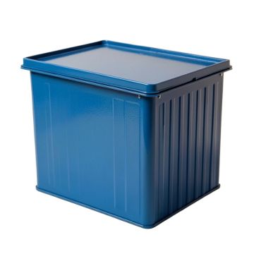 Briar Branch Closed Outdoor Storage Box - Blue (synthetic illustration; no displayed measurements)