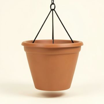 Dyer Plastic Hanging Planter (synthetic illustration; no displayed measurements)