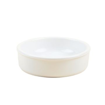 Automatic Water Dish