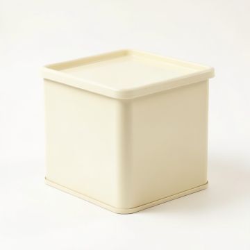 Birch Bridge Closed Outdoor Storage Box - Ivory (synthetic illustration; no displayed measurements)