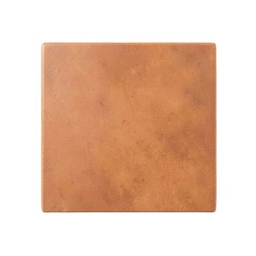 Olive Brook Uninstalled Square Decorative Tile - Terracotta