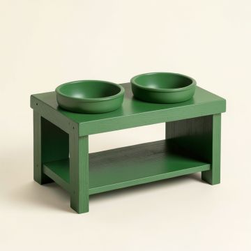 Birch Edge Pet Feeding Stand With Two Plain Empty Bowls - Green (synthetic illustration; no displayed measurements)