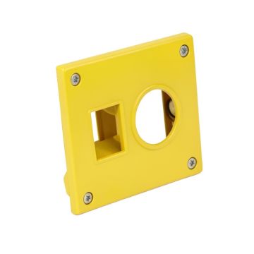 California , San Diego , Hybrid Sunflower 2-Gang Toggle Light Switch Wall Plate