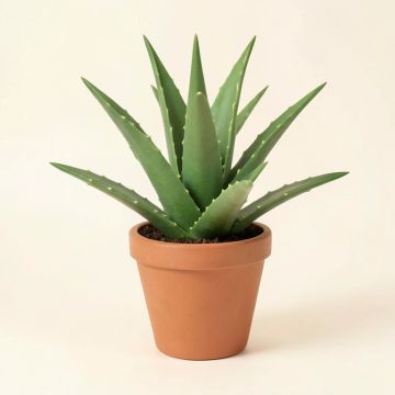 Aloe Vera Desktop Succulent Plant (synthetic illustration; no displayed measurements)