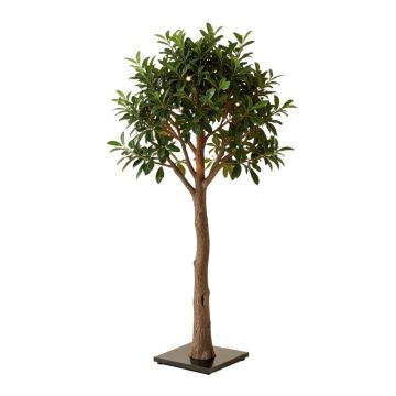Aanya 63 '' Tree Floor Lamp