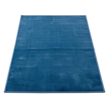Hussain Wool Blue Area Rug