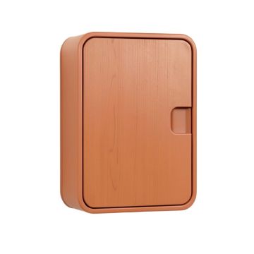 Wren Canyon Wall-Mounted Laundry Cabinet - Terracotta