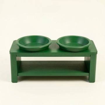 Cove Bluff Pet Feeding Stand With Two Plain Empty Bowls - Green (synthetic illustration; no displayed measurements)