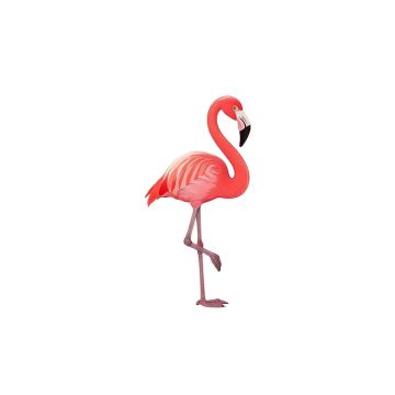 Rondon A Pink Flamingo Paper Print