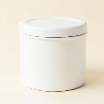 Fern Dale Storage Canister With Lid - White (synthetic illustration; no displayed measurements)