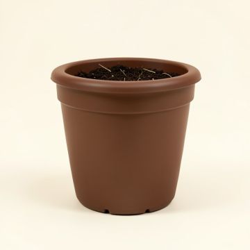 Celestia Self-Watering Plastic Elevated Planter (synthetic illustration; no displayed measurements)