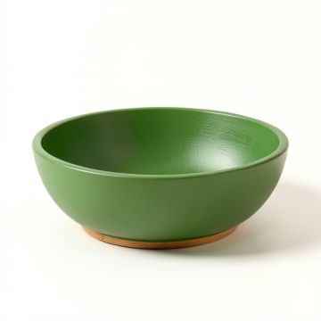 Clay Branch Dining Bowl - Green (synthetic illustration; no displayed measurements)